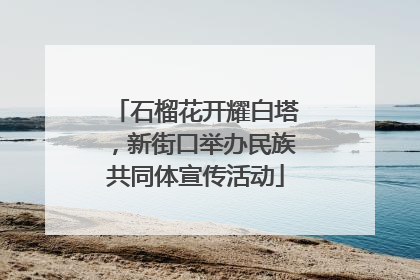 石榴花开耀白塔，新街口举办民族共同体宣传活动