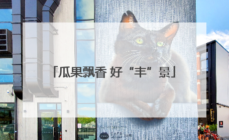 瓜果飘香 好“丰”景