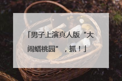 男子上演真人版“大闹蟠桃园”，抓！