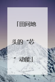 田间地头的“芯”动能