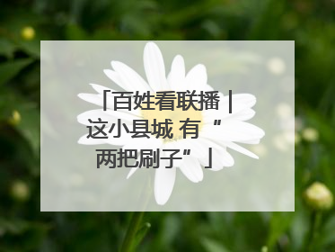 百姓看联播｜这小县城 有“两把刷子”