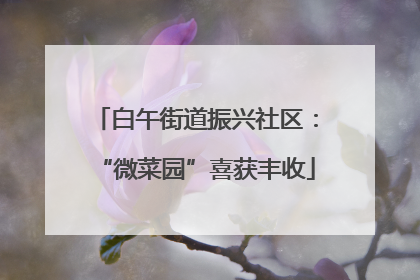 白午街道振兴社区：“微菜园”喜获丰收