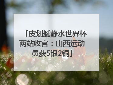 皮划艇静水世界杯两站收官：山西运动员获5银2铜