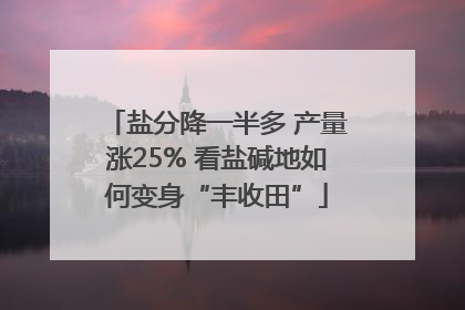 盐分降一半多 产量涨25% 看盐碱地如何变身“丰收田”