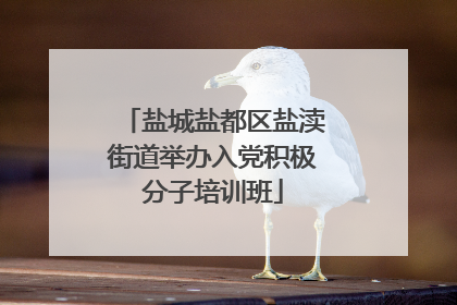 盐城盐都区盐渎街道举办入党积极分子培训班