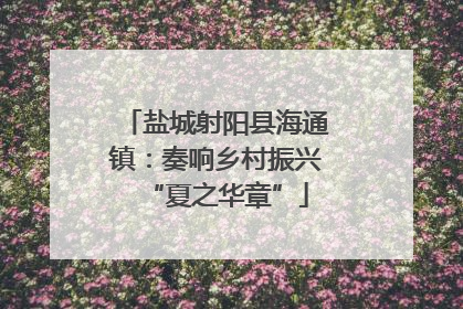 盐城射阳县海通镇：奏响乡村振兴“夏之华章”