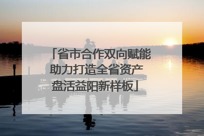 省市合作双向赋能 助力打造全省资产盘活益阳新样板