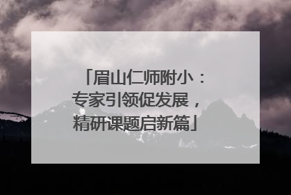 眉山仁师附小：专家引领促发展，精研课题启新篇
