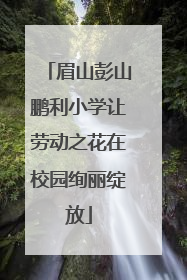 眉山彭山鹏利小学让劳动之花在校园绚丽绽放