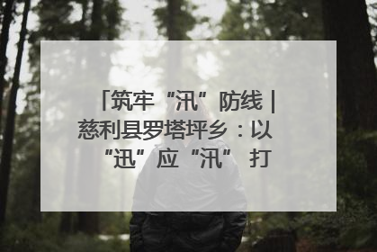 筑牢“汛”防线｜慈利县罗塔坪乡：以“迅”应“汛” 打赢暴雨防御战