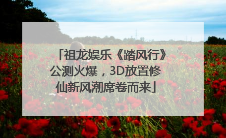 祖龙娱乐《踏风行》公测火爆，3D放置修仙新风潮席卷而来