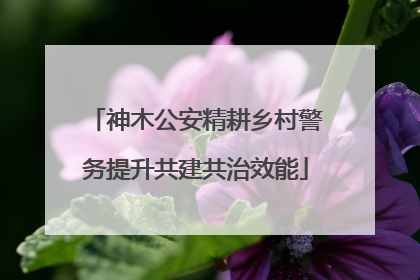 神木公安精耕乡村警务提升共建共治效能