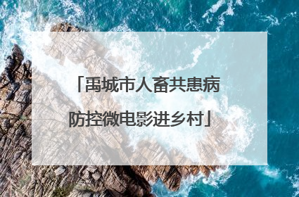 禹城市人畜共患病防控微电影进乡村