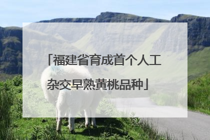 福建省育成首个人工杂交早熟黄桃品种