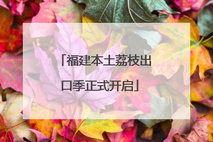 福建本土荔枝出口季正式开启