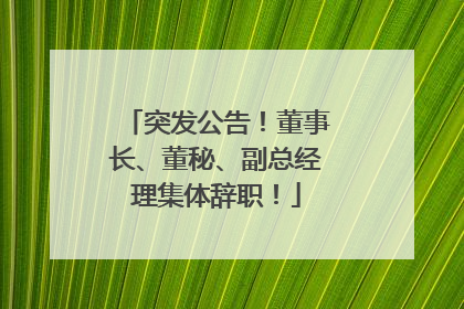 突发公告！董事长、董秘、副总经理集体辞职！