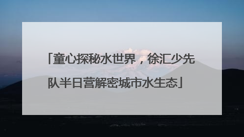 童心探秘水世界，徐汇少先队半日营解密城市水生态