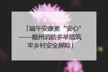 端午安康更“安心”——随州消防多举措筑牢乡村安全屏障