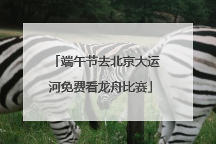 端午节去北京大运河免费看龙舟比赛