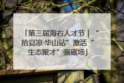 第三届海右人才节｜“拾夏凉·华山站”激活“生态聚才”强磁场