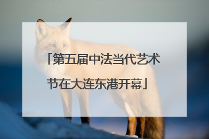 第五届中法当代艺术节在大连东港开幕