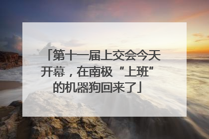 第十一届上交会今天开幕，在南极“上班”的机器狗回来了