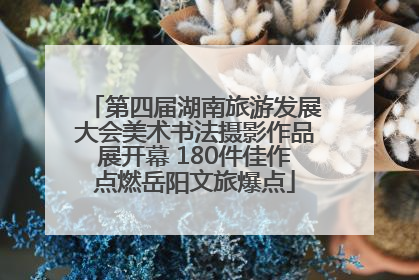第四届湖南旅游发展大会美术书法摄影作品展开幕 180件佳作点燃岳阳文旅爆点