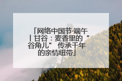 网络中国节·端午丨甘谷：麦香里的“谷角儿” 传承千年的亲情纽带