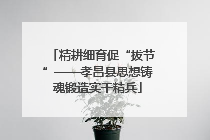 精耕细育促“拔节”——孝昌县思想铸魂锻造实干精兵