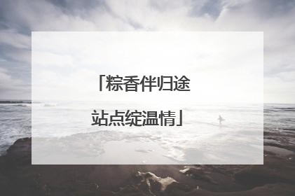 粽香伴归途 站点绽温情