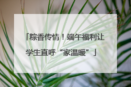 粽香传情！端午福利让学生直呼“家温暖”