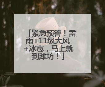 紧急预警！雷雨+11级大风+冰雹，马上就到潍坊！