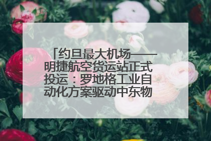 约旦最大机场——明捷航空货运站正式投运：罗地格工业自动化方案驱动中东物流未来新航向