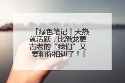 绿色笔记丨天热就活跃，比恐龙更古老的“我们”又要和你相遇了！