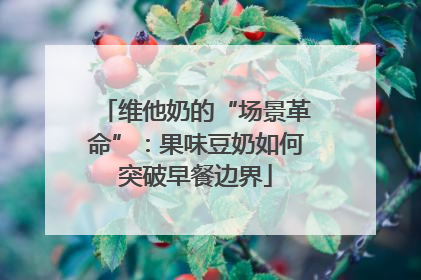 维他奶的“场景革命”：果味豆奶如何突破早餐边界