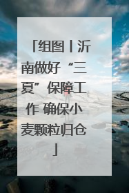 组图丨沂南做好“三夏”保障工作 确保小麦颗粒归仓