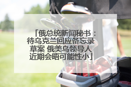 俄总统新闻秘书：待乌克兰回应备忘录草案 俄美乌领导人近期会晤可能性小