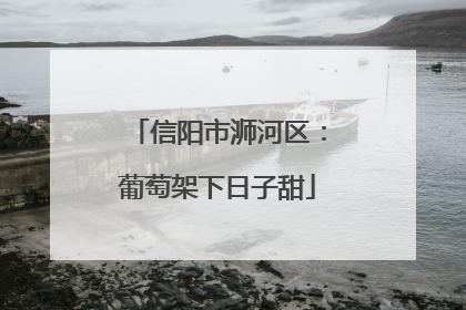信阳市浉河区：葡萄架下日子甜