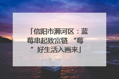 信阳市浉河区：蓝莓串起致富链 “莓”好生活入画来