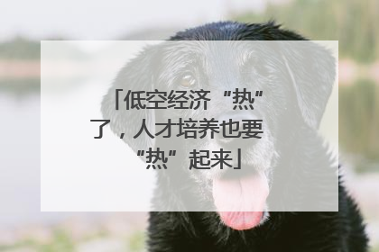 低空经济“热”了，人才培养也要“热”起来