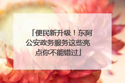 便民新升级！东阿公安政务服务这些亮点你不能错过