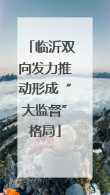 临沂双向发力推动形成“大监督”格局