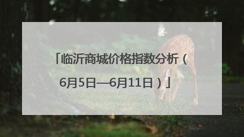 临沂商城价格指数分析（6月5日—6月11日）