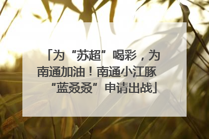 为“苏超”喝彩，为南通加油！南通小江豚“蓝叒叒”申请出战
