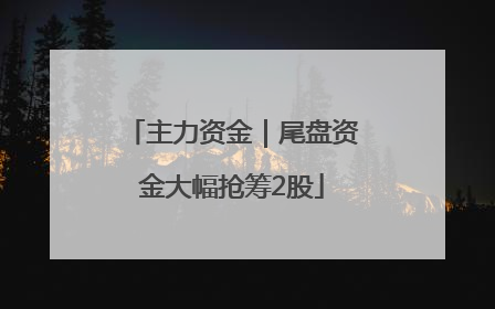 主力资金｜尾盘资金大幅抢筹2股