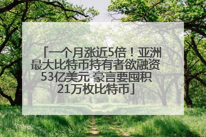 一个月涨近5倍！亚洲最大比特币持有者欲融资53亿美元 豪言要囤积21万枚比特币