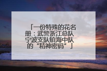 一份特殊的花名册：武警浙江总队宁波支队镇海中队的“精神密码”