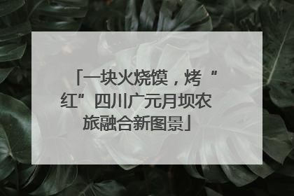 一块火烧馍，烤“红”四川广元月坝农旅融合新图景