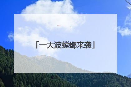 一大波螳螂来袭