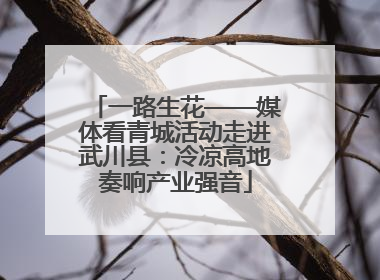 一路生花——媒体看青城活动走进武川县：冷凉高地奏响产业强音